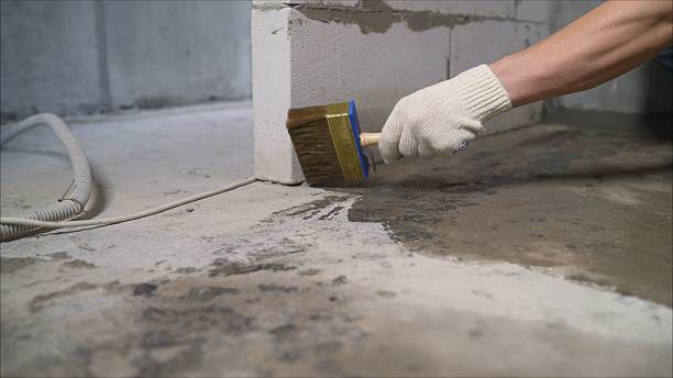 Top rated local Crawl Space Encapsulation specialists in Suitland, MD